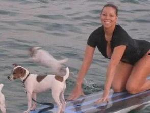 娱乐吃瓜君狗狗